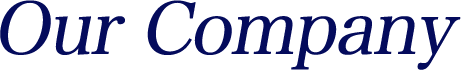 Our Company